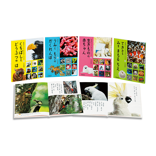 教科書にでてくる 生きものをくらべよう 全4巻